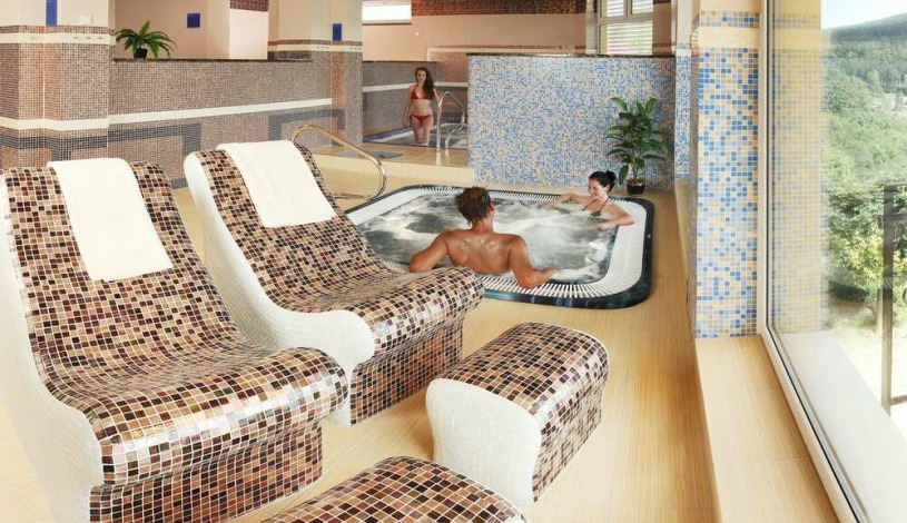 Lázeňský & wellness hotel Niva Pozlovice
