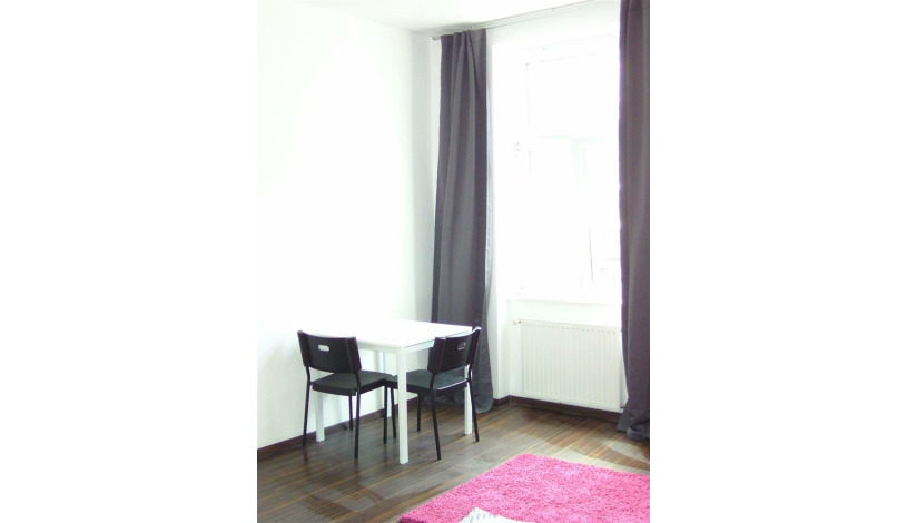 Apartment Leibnizgasse Wien - Apt 29444