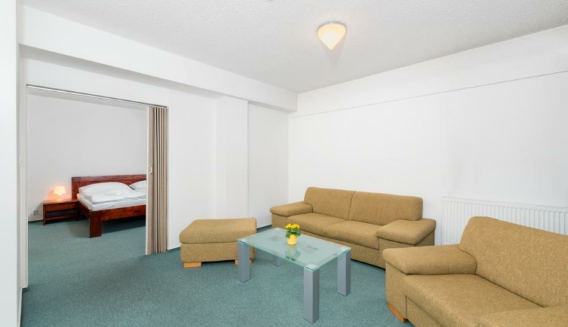 Hotel ARENA*** Liberec