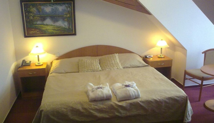 WELLNESS HOTEL BABYLON Liberec