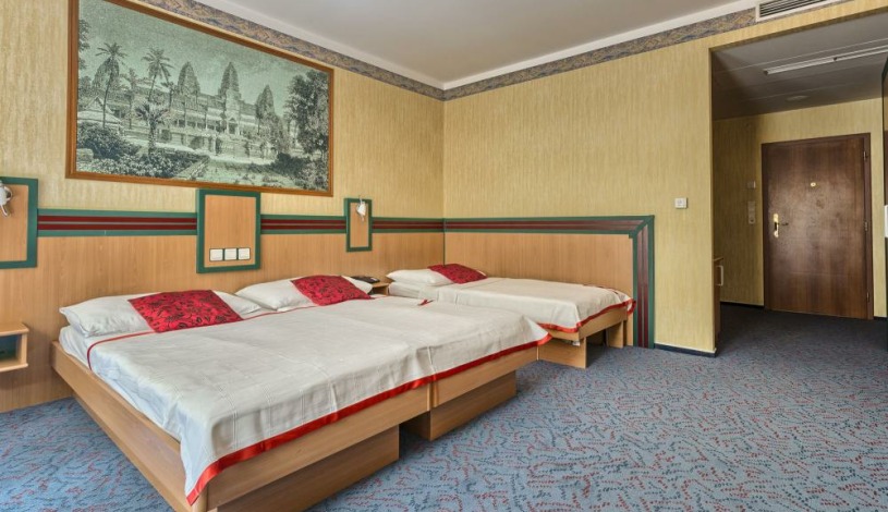 WELLNESS HOTEL BABYLON Liberec