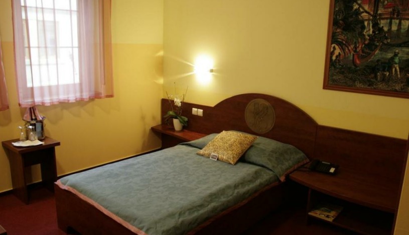 WELLNESS HOTEL BABYLON Liberec - Jednolůžkový pokoj se Zábavou