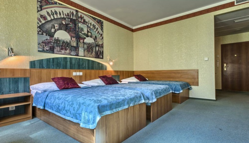 WELLNESS HOTEL BABYLON Liberec