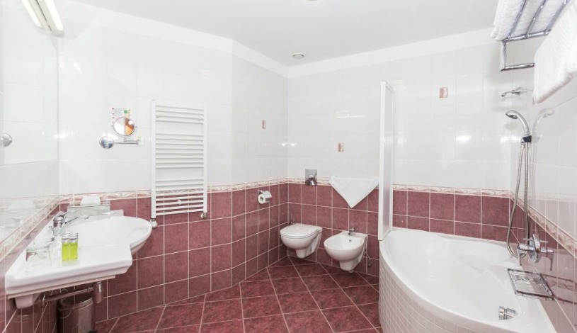 WELLNESS HOTEL BABYLON Liberec