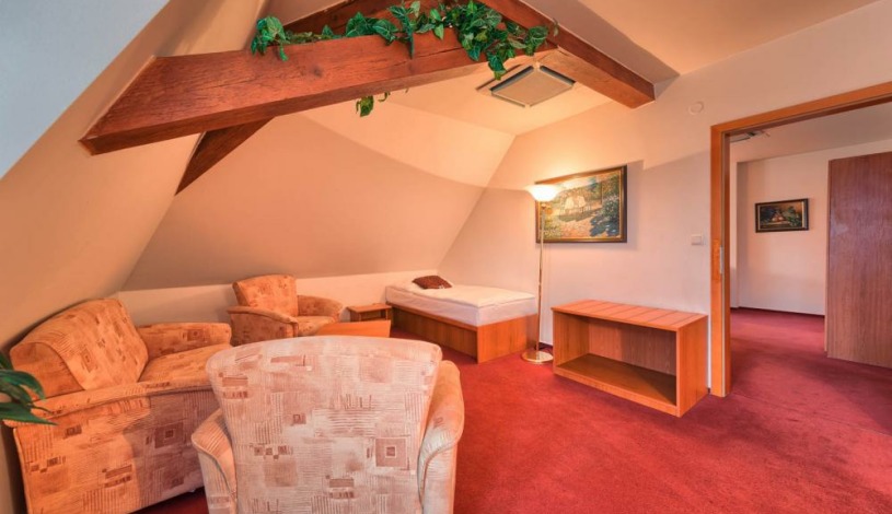 WELLNESS HOTEL BABYLON Liberec