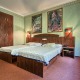 Dvoulůžkový pokoj s Wellness (2+0) - pouze pro starší 15 let - WELLNESS HOTEL BABYLON Liberec