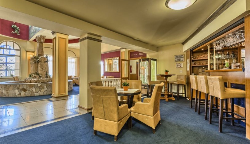 WELLNESS HOTEL BABYLON Liberec