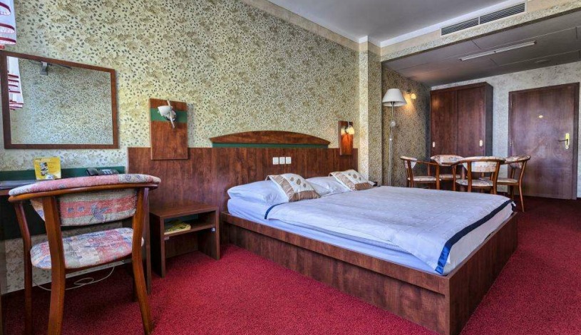 WELLNESS HOTEL BABYLON Liberec - Dvoulůžkový pokoj s Wellness (2+0) - pouze pro starší 15 let, Dvoulůžkový pokoj se Zábavou (1 dospělý + 1 dítě do 12,99 let), Dvoulůžkový pokoj se Zábavou (2 dospělí)