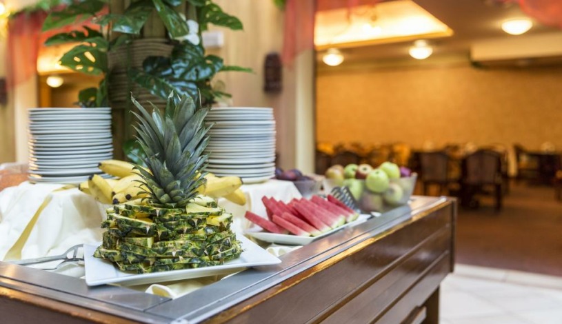 WELLNESS HOTEL BABYLON Liberec