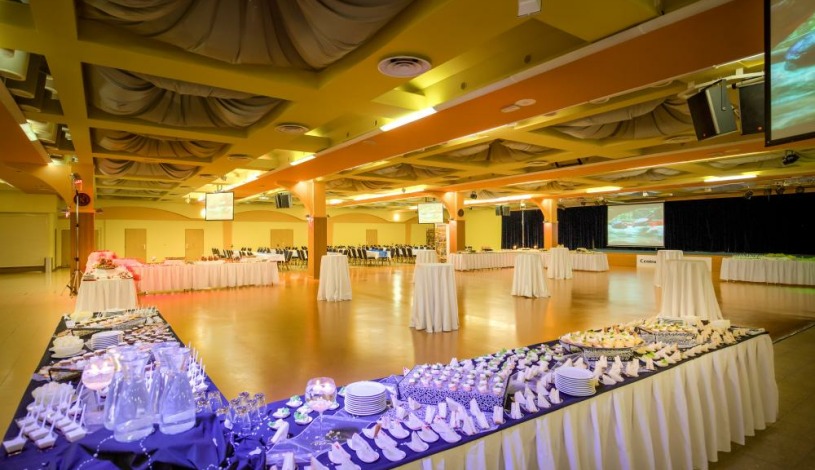 WELLNESS HOTEL BABYLON Liberec