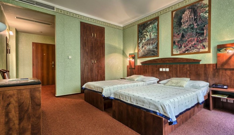 WELLNESS HOTEL BABYLON Liberec - Dvoulůžkový pokoj se Zábavou (1 dospělý + 1 dítě do 12,99 let)