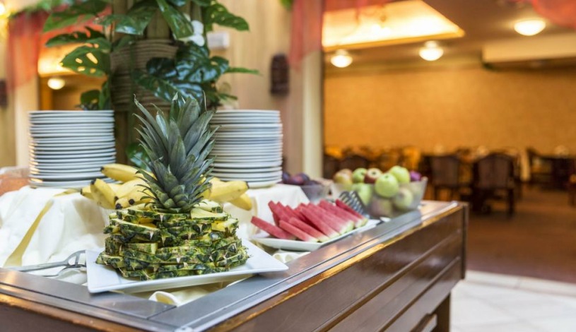 WELLNESS HOTEL BABYLON Liberec