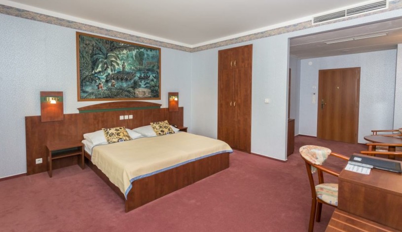 WELLNESS HOTEL BABYLON Liberec - Dvoulůžkový pokoj se Zábavou (1 dospělý + 1 dítě do 12,99 let), Dvoulůžkový pokoj se Zábavou (2 dospělí)