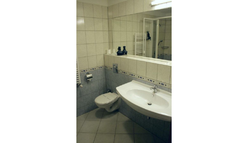 WELLNESS HOTEL BABYLON Liberec - Jednolůžkový pokoj se Zábavou