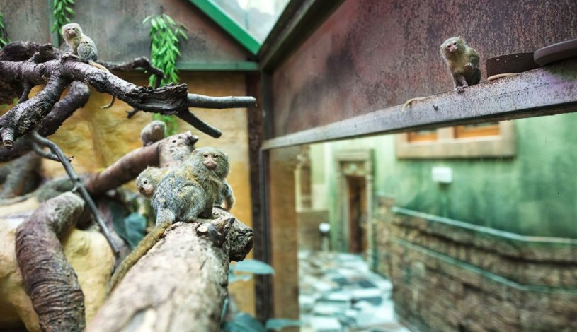 WELLNESS HOTEL BABYLON Liberec