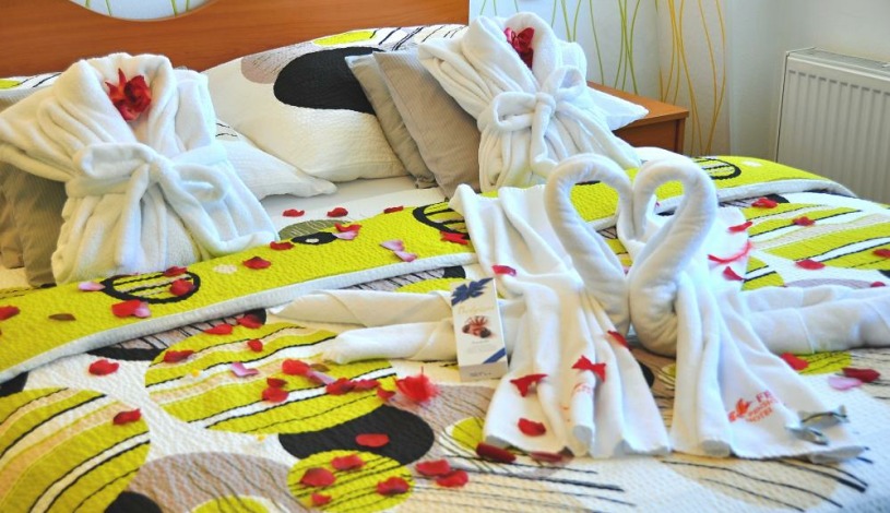 Fénix Wellness Hotel Liberec