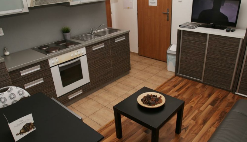 Apartmá Sungarden Liberec - AV4 Dvoupokojový Apartmán s balkonem