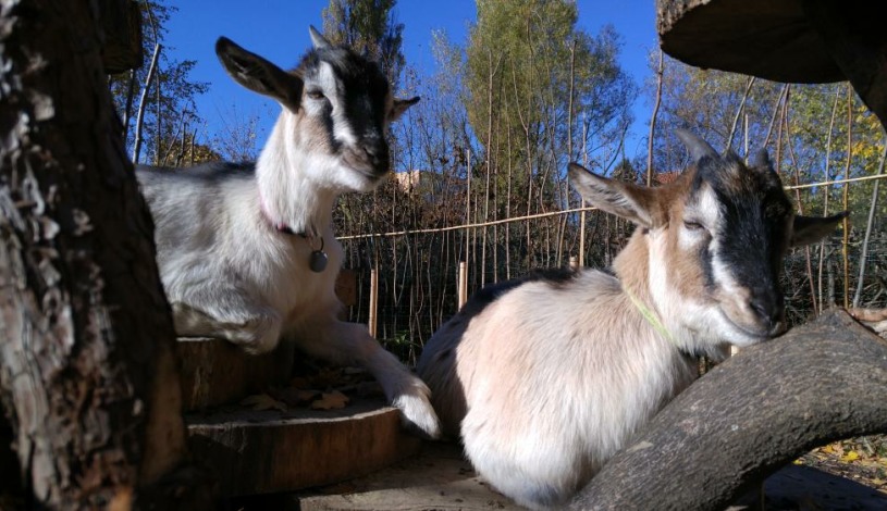 Apartmá Sungarden Liberec