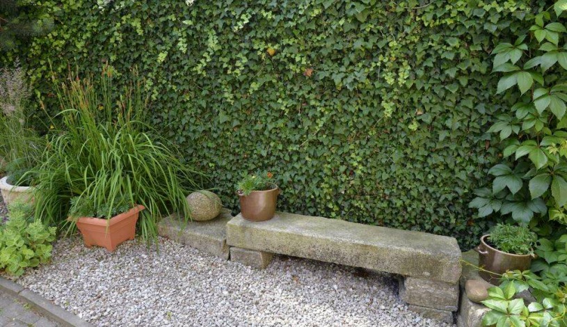 Penzion Jasmín Liberec