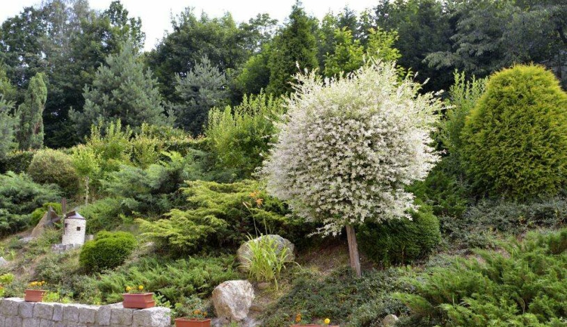 Penzion Jasmín Liberec