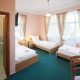 Třílůžkový pokoj s manželskou postelí nebo oddělenými postelemi - Pytloun Hotel Liberec***