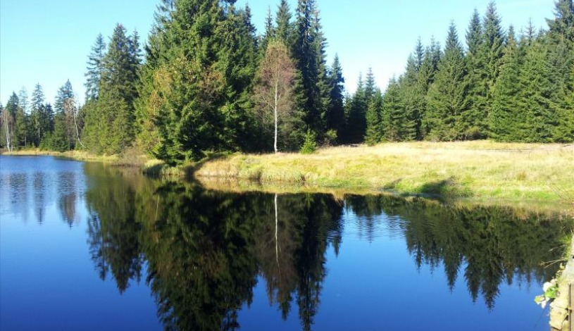 Residence SALVIA Liberec