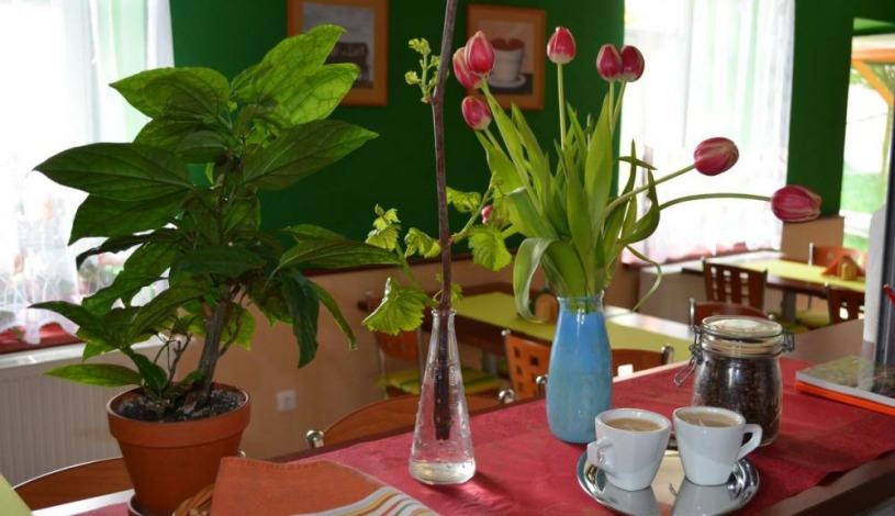 Residence SALVIA Liberec