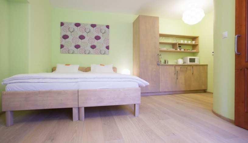 Wellness Penzion U Muzea s.r.o. Liberec - Zahradní apartmán