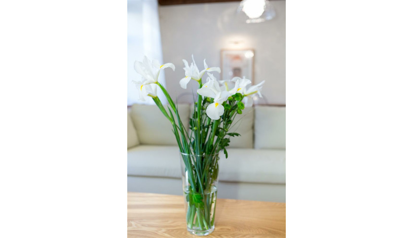 Apartment Ligoninės gatvė Vilnius - Apt 52277