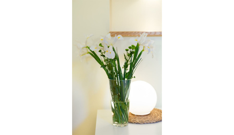 Apartment Ligoninės gatvė Vilnius - Apt 52277