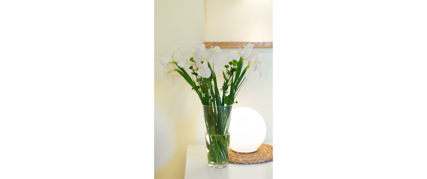 Apartment Ligoninės gatvė Vilnius - Apt 52277