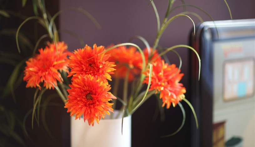 Apartment Linke Wienzeile Wien - Apt 21529