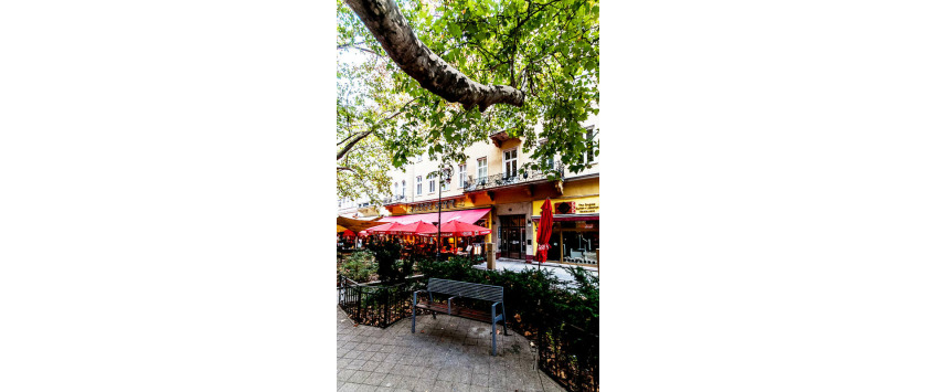 Apartment Liszt Ferenc tér Budapest - Apt 35052