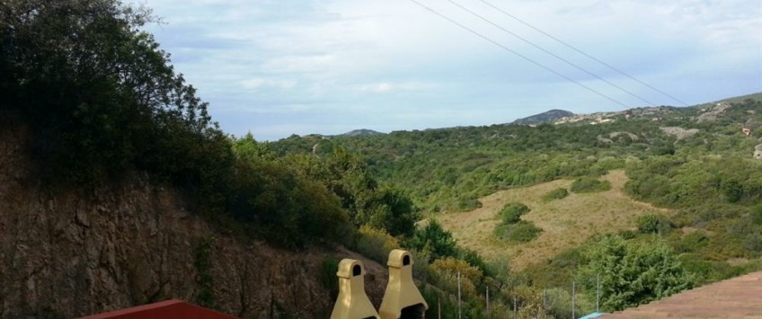 Apartment Località Ea Bianca Sardinia - Apt 35371