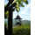Apartment Località Vetteglia Lucca - Apt 38336