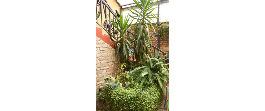 Apartment Loznička Beograd - Apt 21542