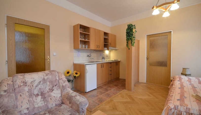 APARTHOTEL LUBLAŇKA Praha