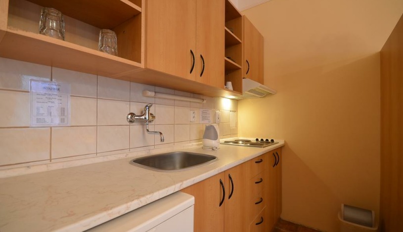 APARTHOTEL LUBLAŇKA Praha