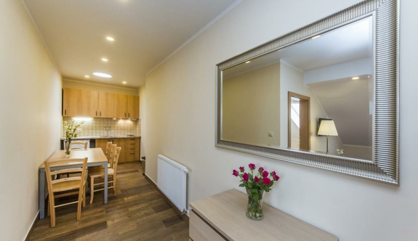 APARTHOTEL LUBLAŇKA Praha - Penthouse II