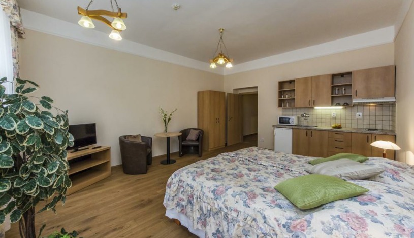 APARTHOTEL LUBLAŇKA Praha - Pokoj pro 2 osoby