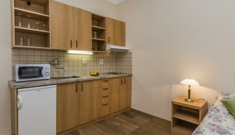 APARTHOTEL LUBLAŇKA Praha - Pokoj pro 2 osoby