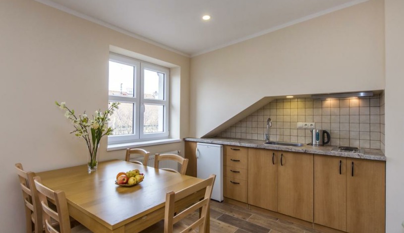 APARTHOTEL LUBLAŇKA Praha - Penthouse