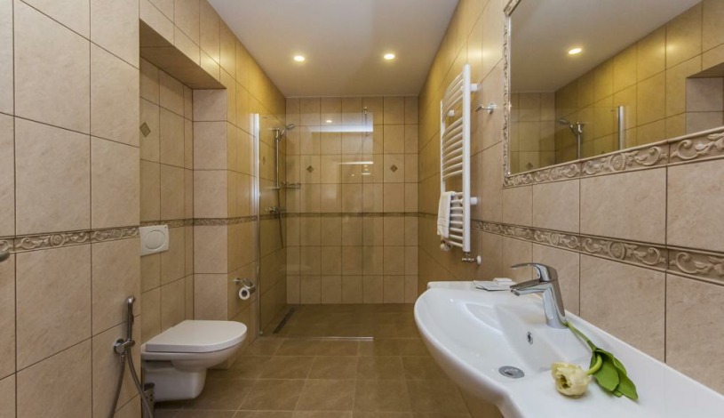 APARTHOTEL LUBLAŇKA Praha - Penthouse II