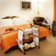 Double room - Bed and Breakfast Lucie Praha