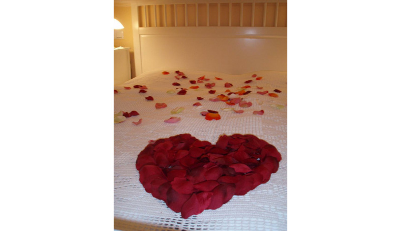 Pension Lucie Praha - Suite (2 osoby)
