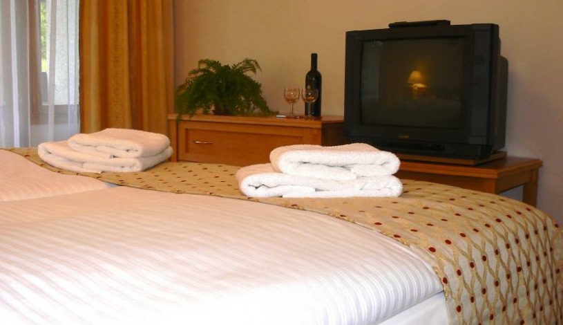 Hotel Luha Luhačovice