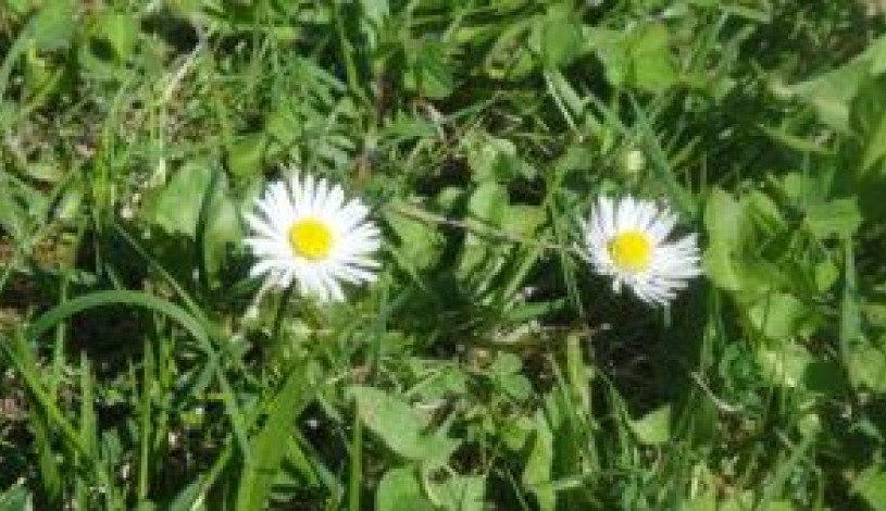 Boutique Hotel Radun Luhačovice