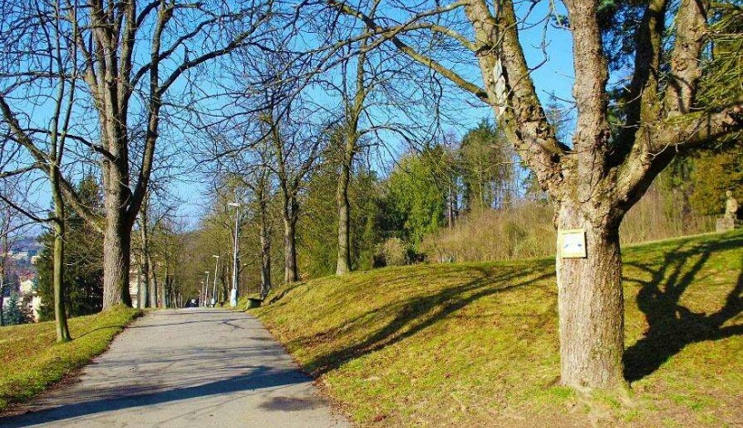 Boutique Hotel Radun Luhačovice