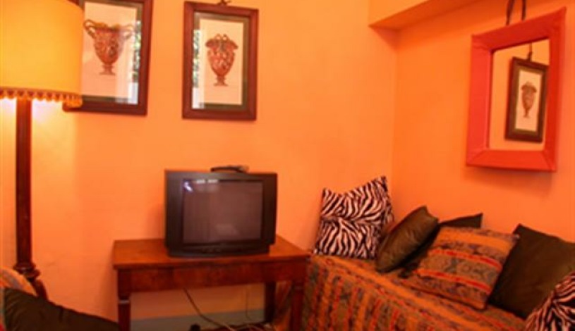 Apartment Lungarno A. Vespucci Firenze - Apt 19425