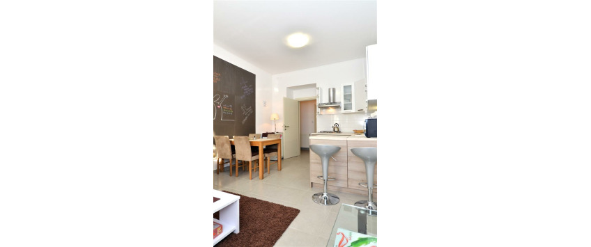 Apartment Maksimirska cesta Zagreb - Apt 34816